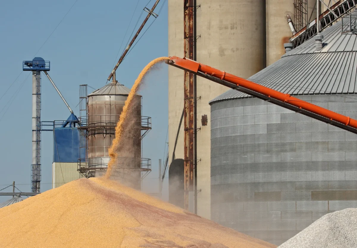 An auger discharging grain beside bulk storage silos.